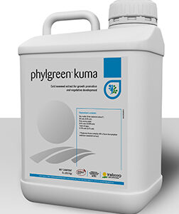 PHYLGREEN KUMA