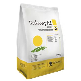 TRADECORP AZ BENTLEY