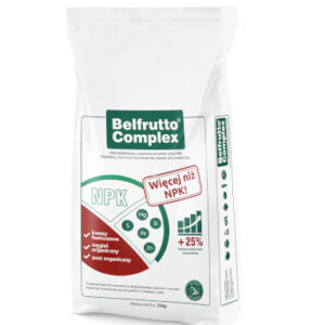 belfrutto