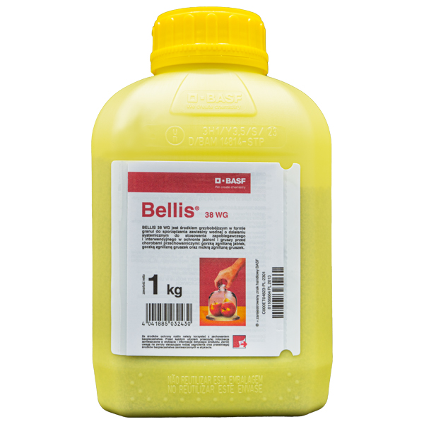 BELLIS 38WG 1KG