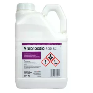 AMBROSSIO 500 SC 5 L