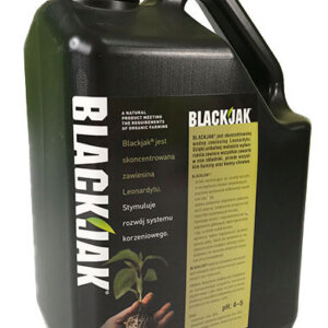 BLACKJAK 5L